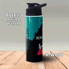 B-W038 Wanted Brook Botella (One Piece)