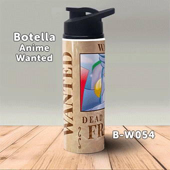 B-W054 Wanted Franky Botella (One Piece)